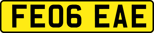 FE06EAE
