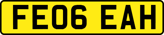 FE06EAH