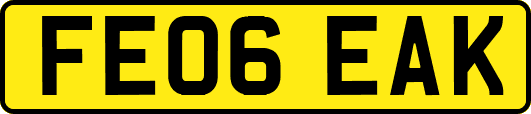 FE06EAK