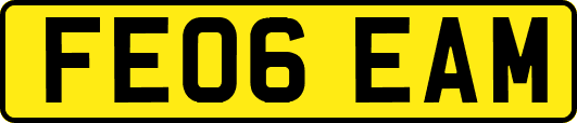 FE06EAM