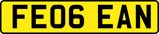 FE06EAN