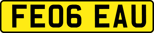 FE06EAU