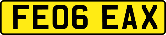 FE06EAX