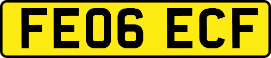 FE06ECF