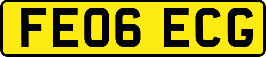 FE06ECG