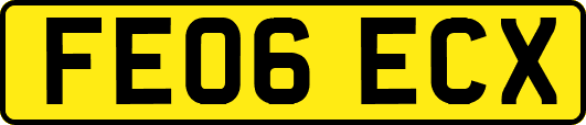 FE06ECX