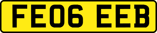 FE06EEB