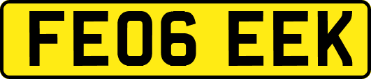 FE06EEK