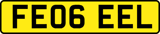 FE06EEL