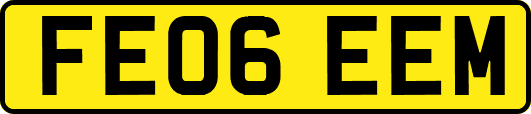 FE06EEM