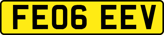FE06EEV