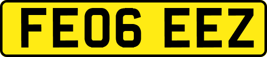 FE06EEZ