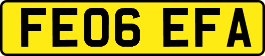 FE06EFA