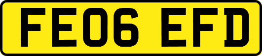 FE06EFD