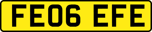 FE06EFE