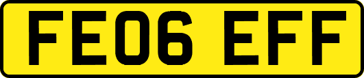 FE06EFF