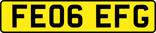 FE06EFG