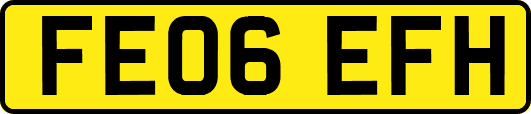 FE06EFH