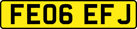 FE06EFJ