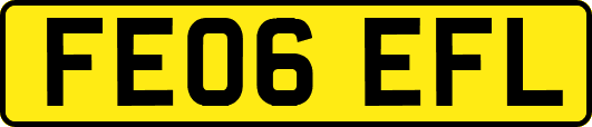 FE06EFL