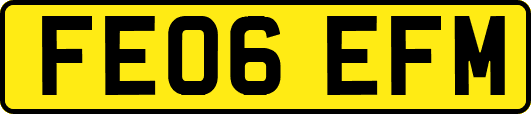 FE06EFM