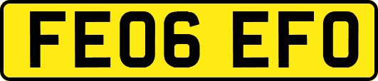 FE06EFO