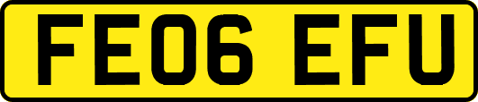 FE06EFU