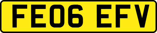 FE06EFV