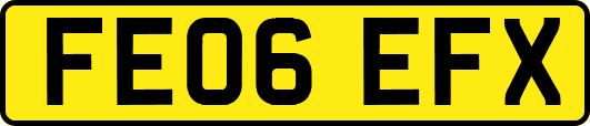 FE06EFX