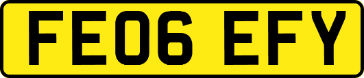 FE06EFY