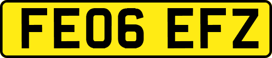 FE06EFZ