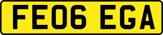 FE06EGA