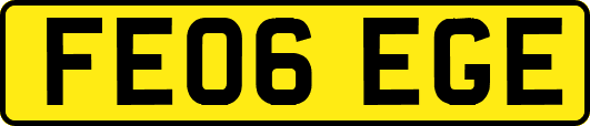 FE06EGE