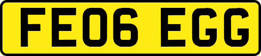 FE06EGG