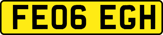 FE06EGH