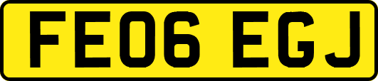 FE06EGJ