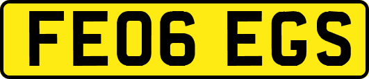 FE06EGS