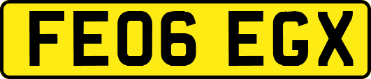 FE06EGX
