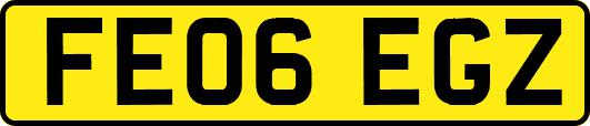 FE06EGZ
