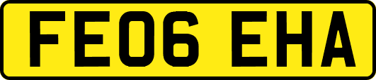 FE06EHA