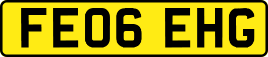 FE06EHG