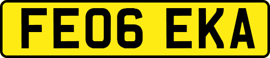 FE06EKA