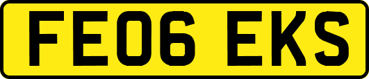 FE06EKS