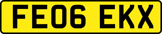 FE06EKX