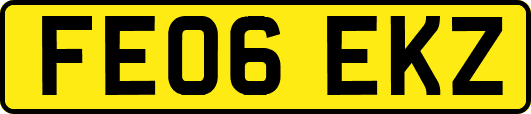 FE06EKZ