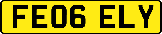 FE06ELY