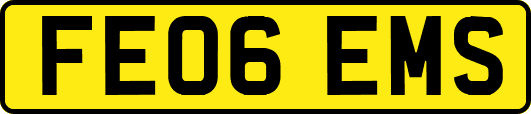 FE06EMS