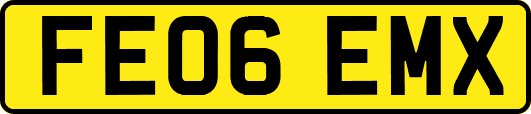 FE06EMX