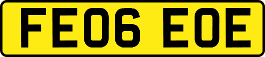FE06EOE