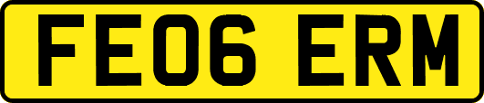 FE06ERM